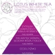 <B>LOTUS WHITE TEA</B> ULTRA SCENT 500 ml odświeżacz powietrza do tkanin DLA ALERGIKÓW